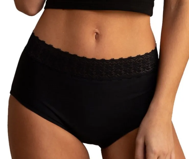Sabina Premium Period Full Brief SBF91